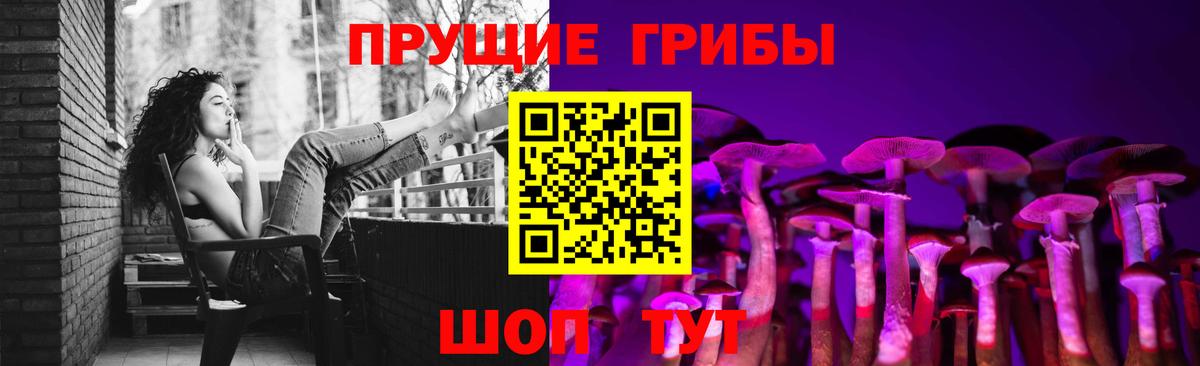 где найти наркотики  Галлюциногенные грибы MAGIC MUSHROOMS  Ковров  Вход с VPN  Псилоцибиновые грибы Cubensis 